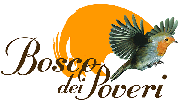Bosco dei Poveri